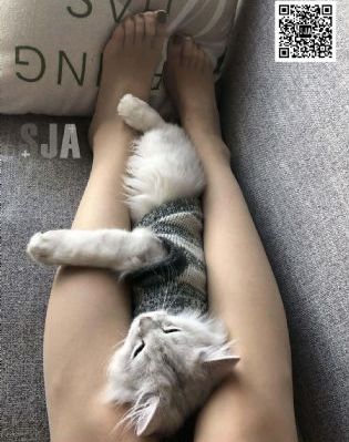 桃色一区二区_高清蓝光在线观看